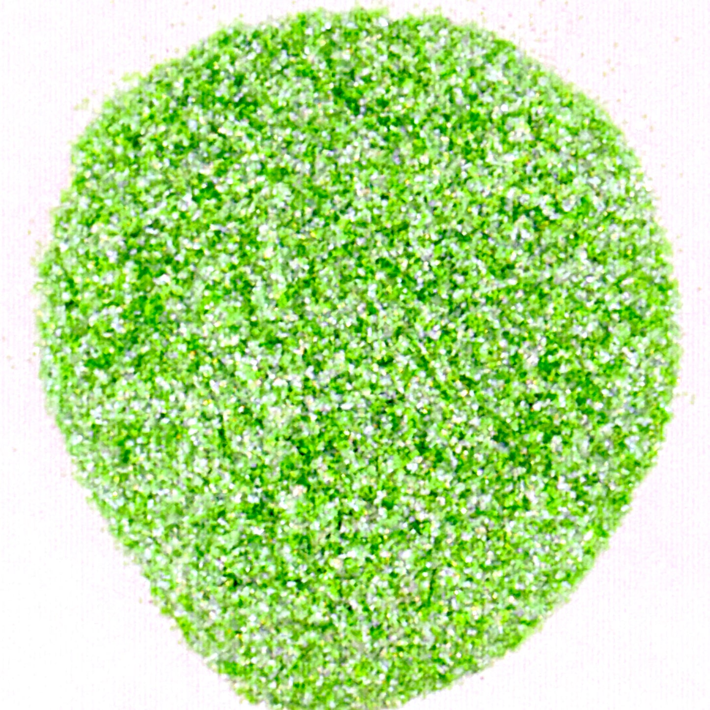 Dianthus